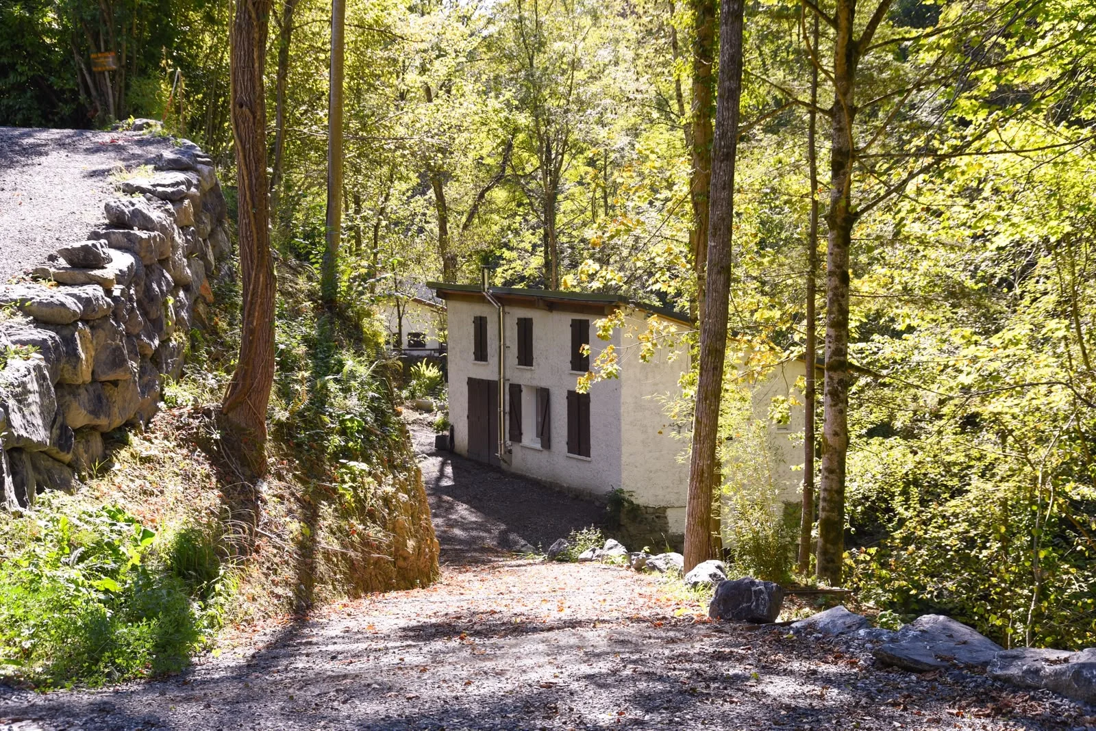 Chemin d’accès au gîte sous les arbres